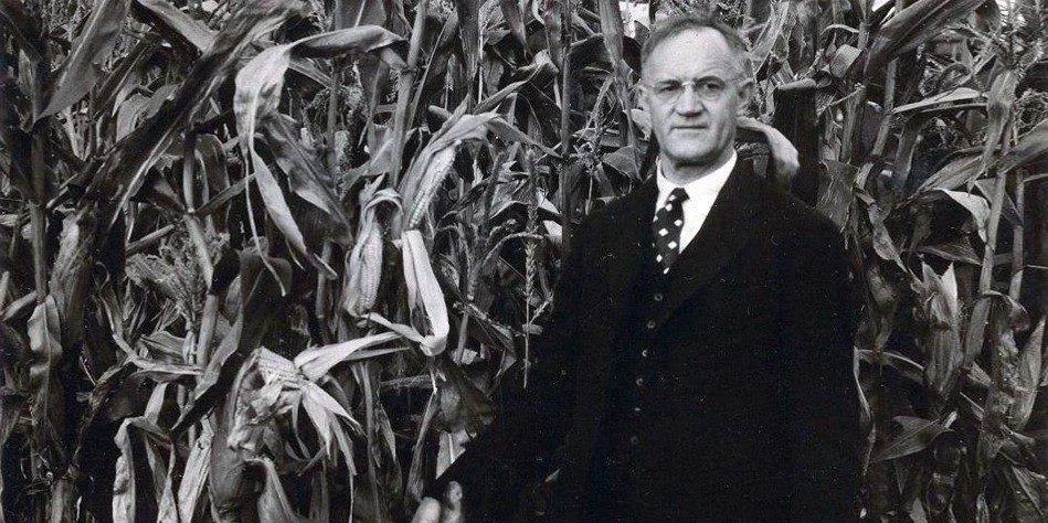 Уильям Герикке — американский учёный, впервые использовавший термин 'гидропоника'