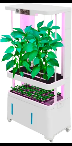 H2 Smart Garden