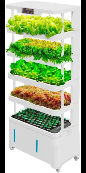 H5 Smart Garden