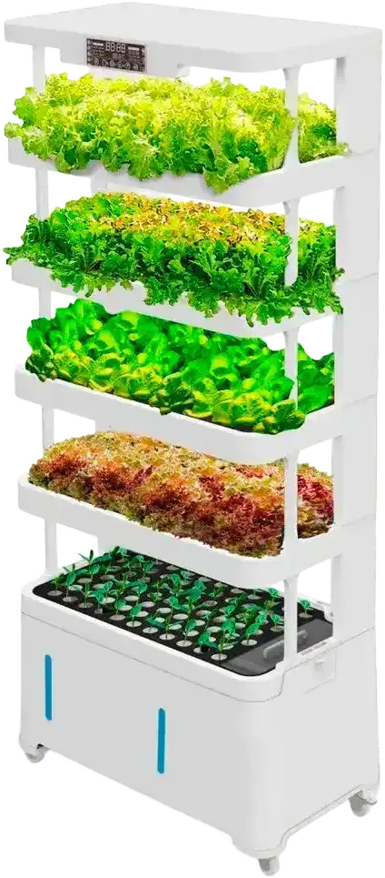 Умная гидропонная система H5 Smart Garden с зеленью