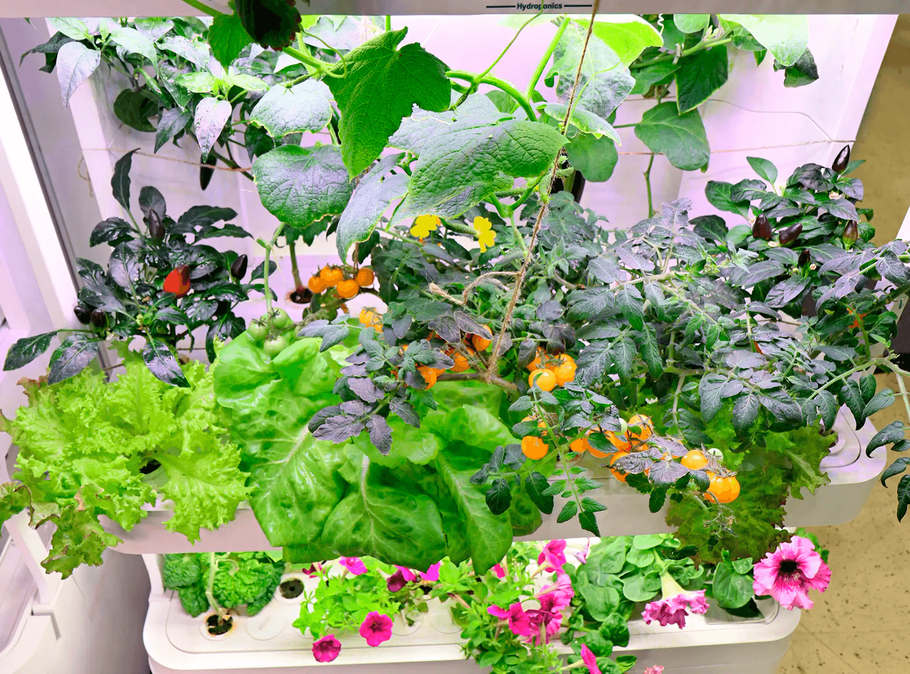 Участие нашей компании в выставке «Дача. Сад. Ландшафт 2026»