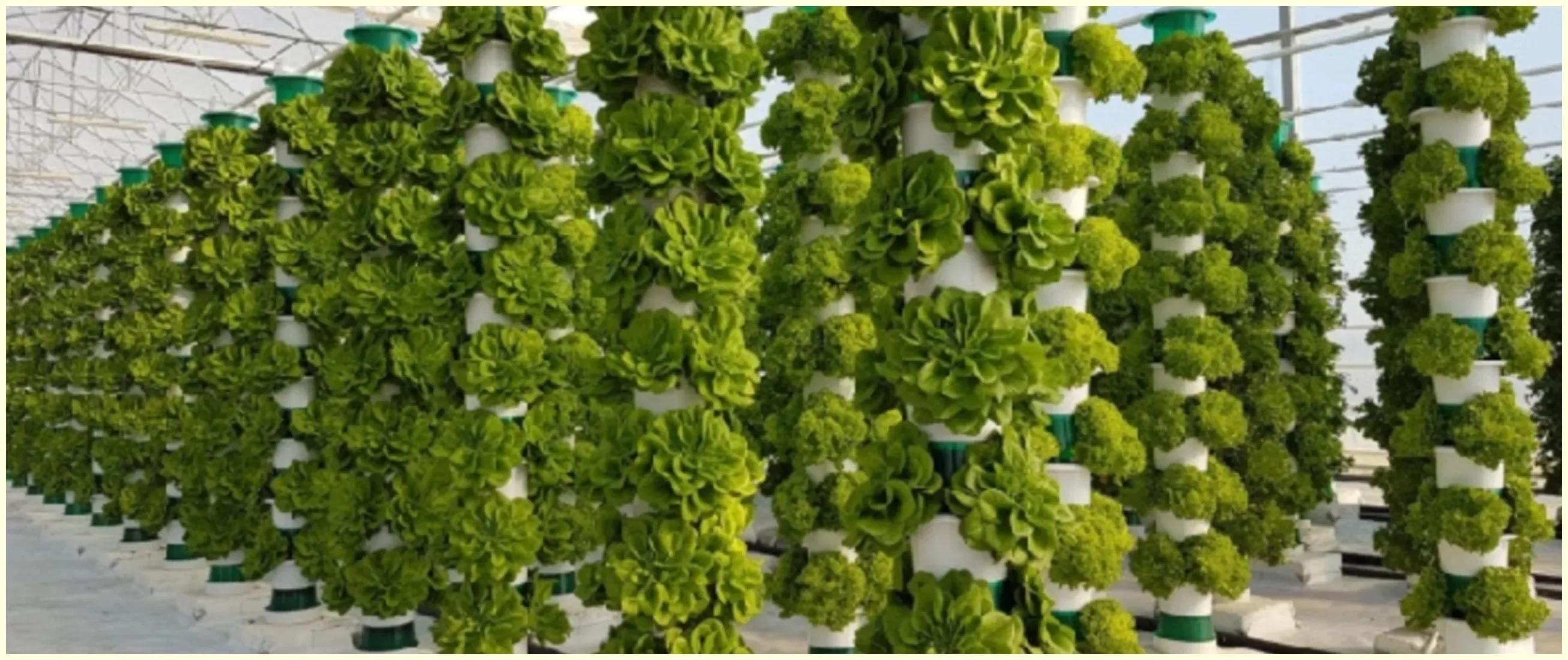 Новости гидропоники