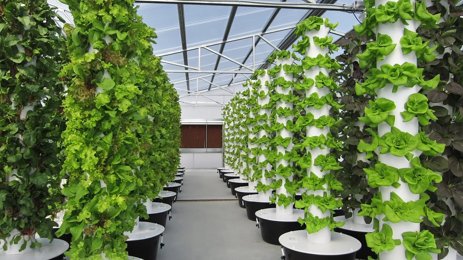 Наши партнёры