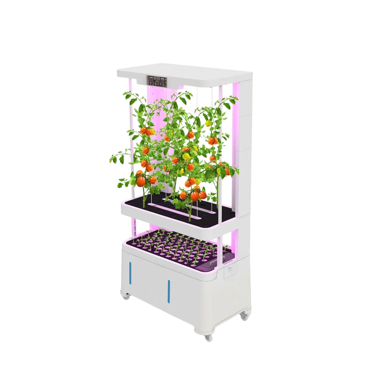 H2 Smart Garden
