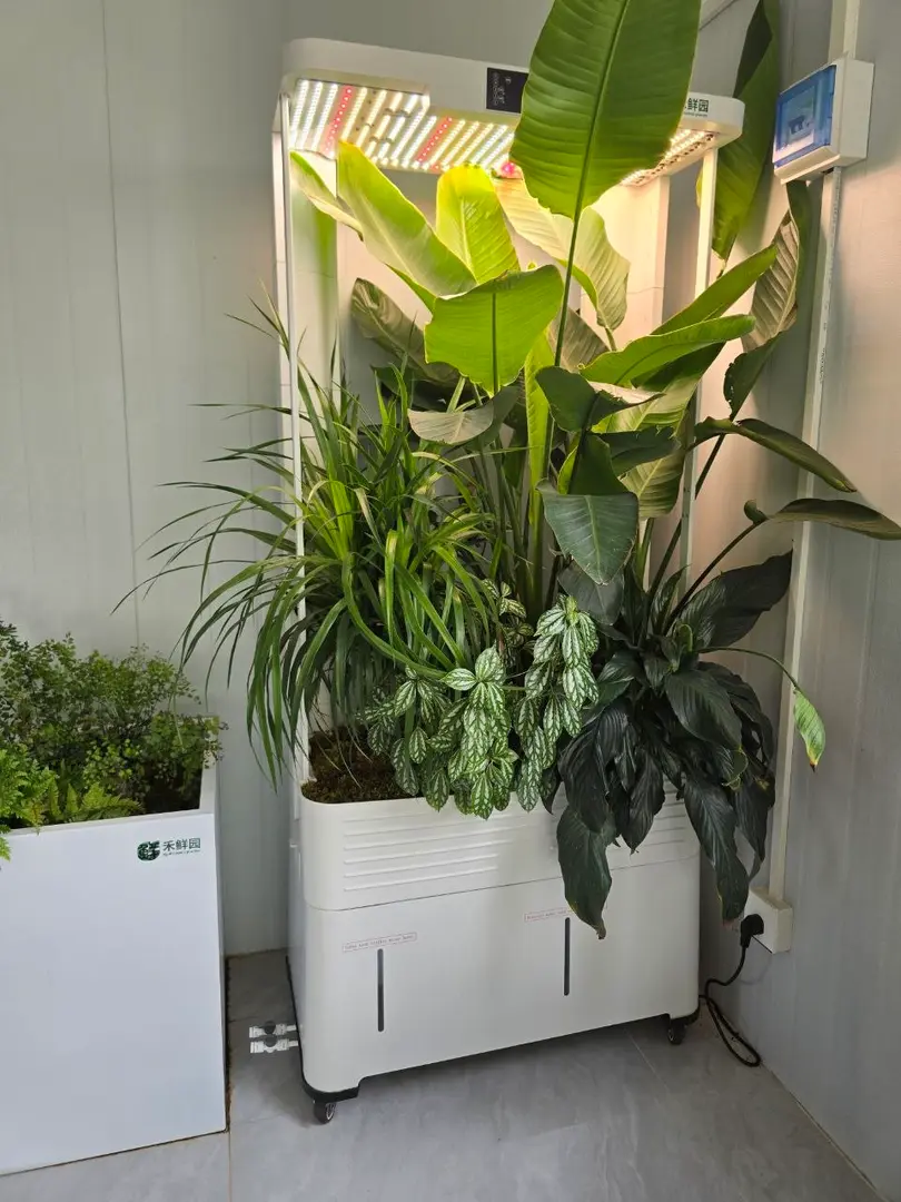 HX-01 Smart Garden — фото 2
