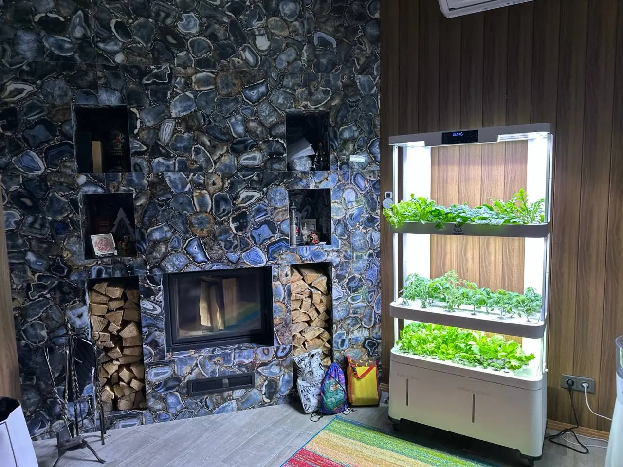 Image 4