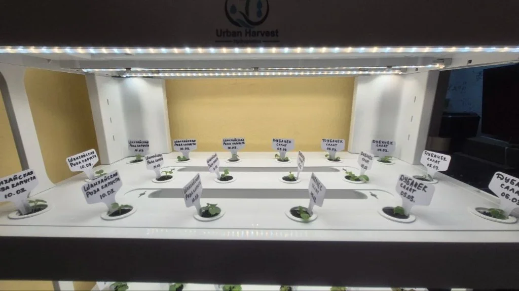Рассадный ярус гидропонной установки Urban Harvest с подписанными всходами под LED-лампой