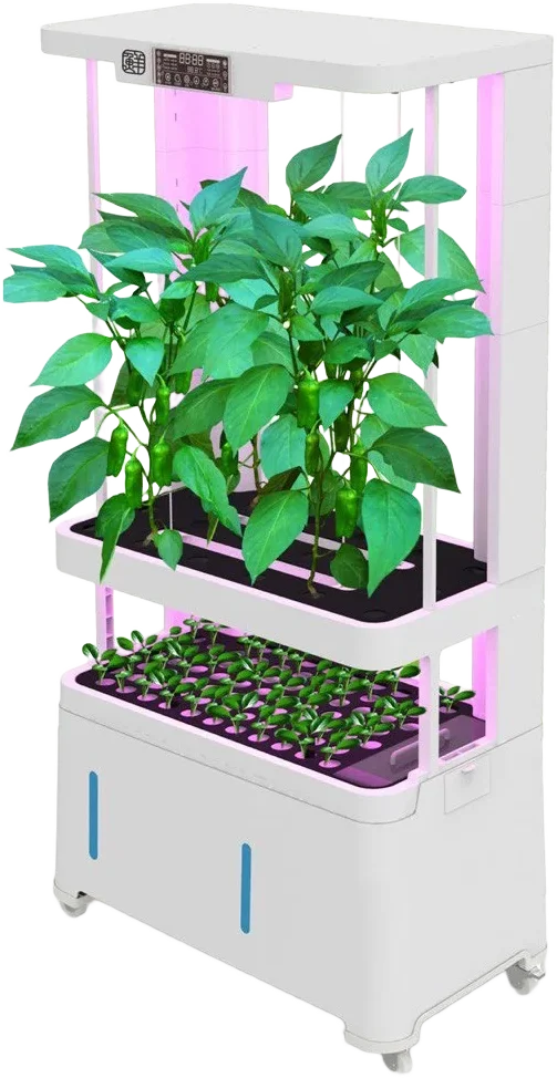 H2 Smart Garden