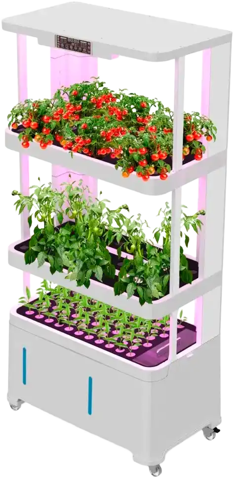 H3 Smart Garden