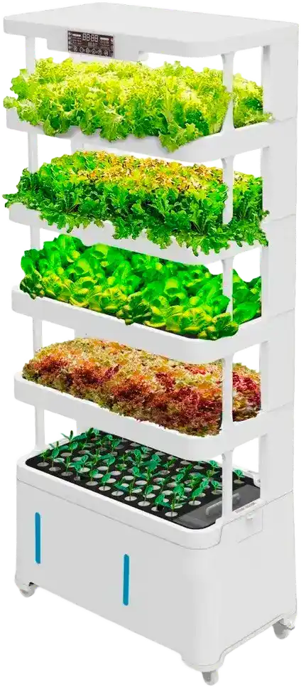 H5 Smart Garden