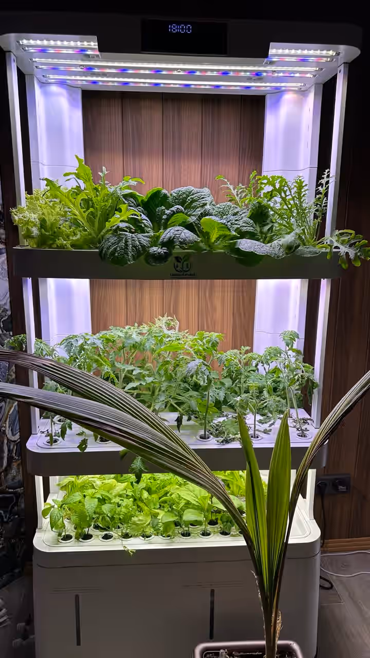 Акцентное изображение установки Urban Harvest