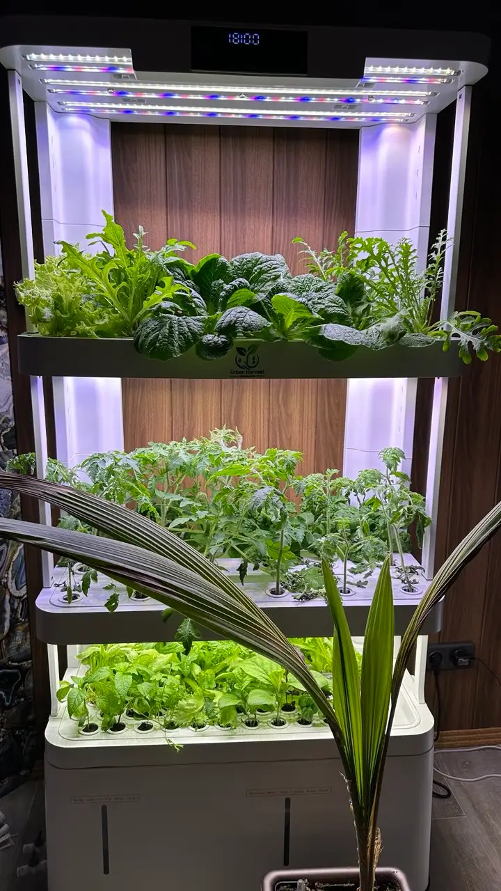 Акцентное изображение установки Urban Harvest
