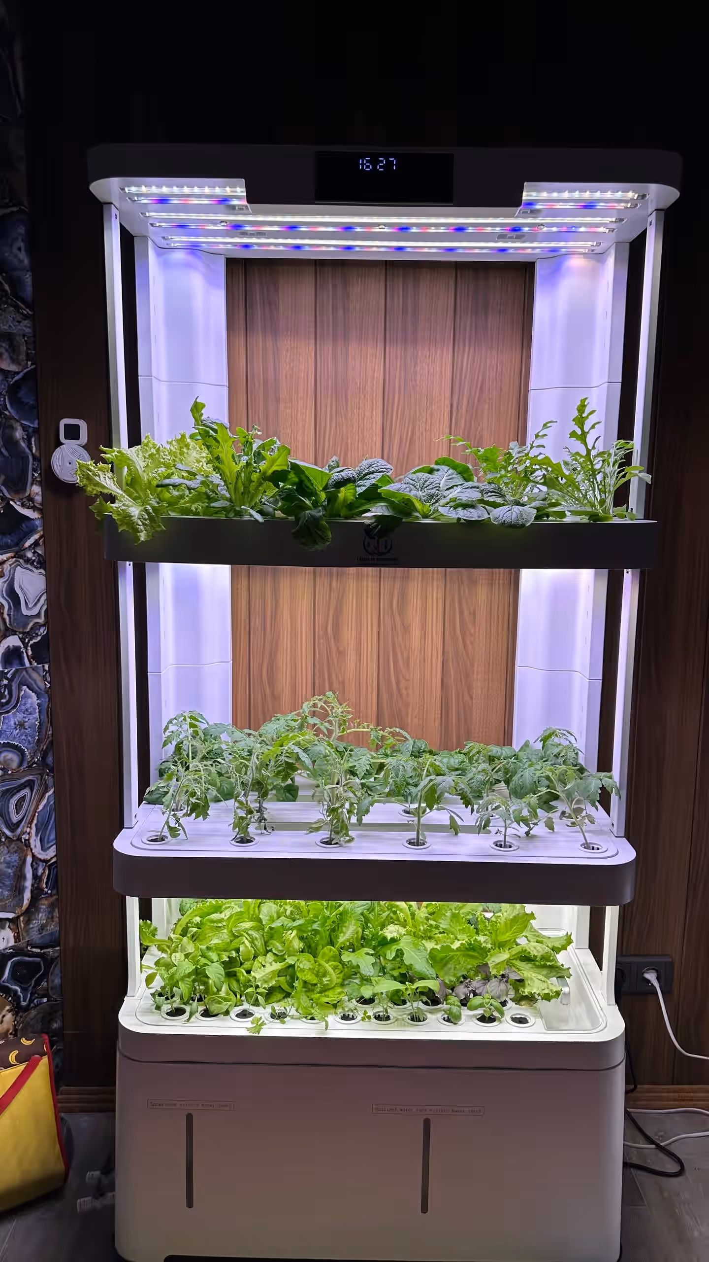 Акцентное изображение установки Urban Harvest