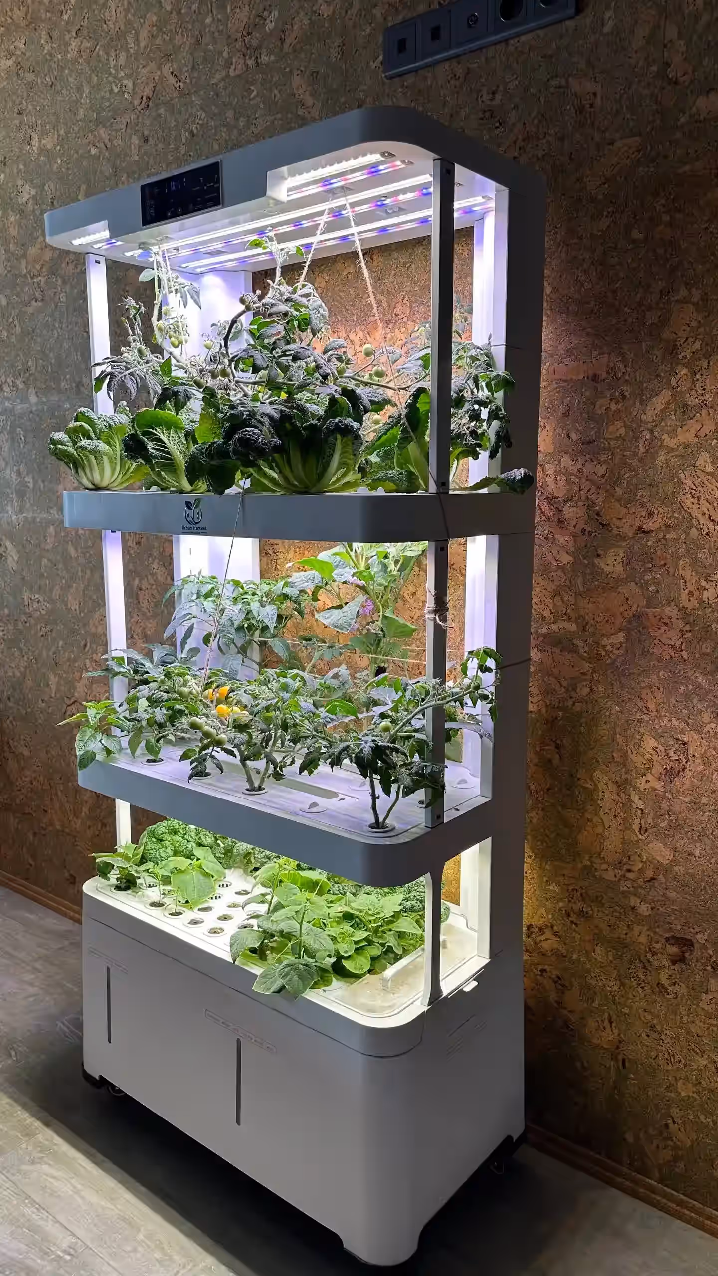 Акцентное изображение установки Urban Harvest